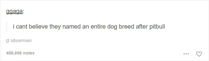 109 Dog Posts On Tumblr That Are Impossible To Get Through Without Smiling