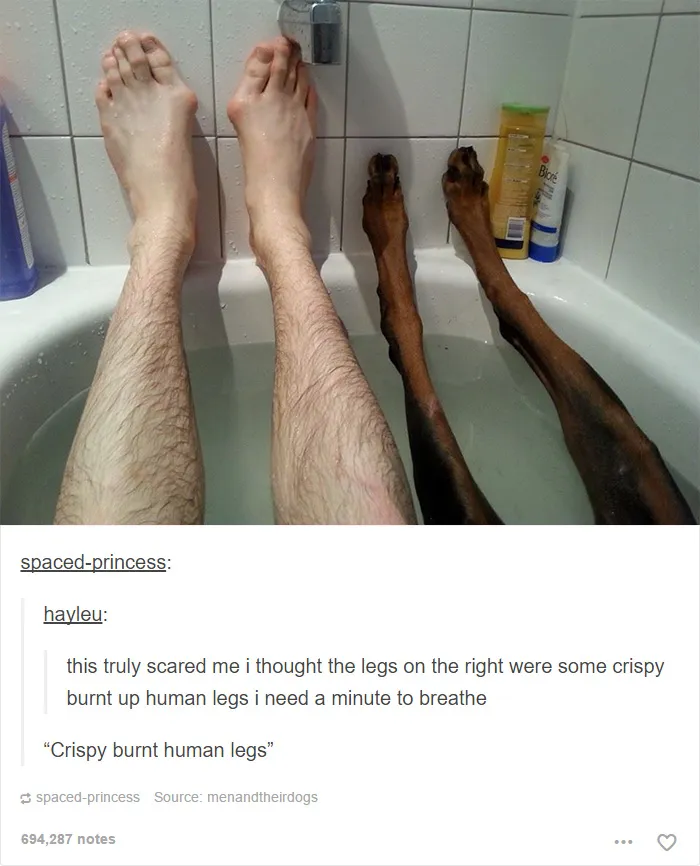 109 Dog Posts On Tumblr That Are Impossible To Get Through Without Smiling