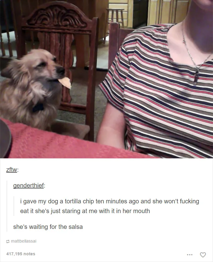 109 Dog Posts On Tumblr That Are Impossible To Get Through Without Smiling