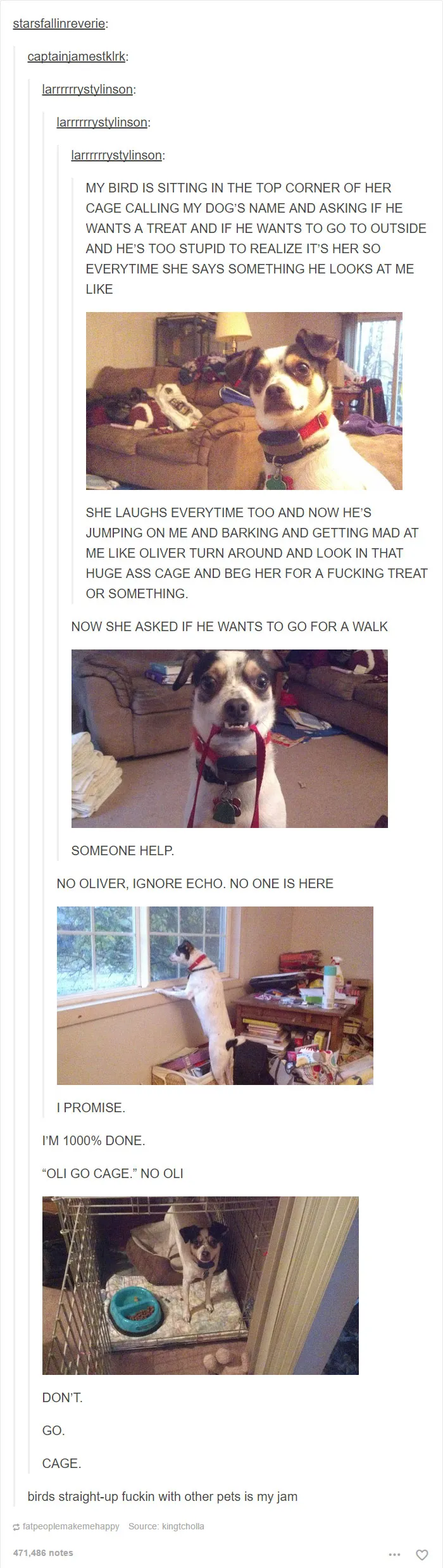 109 Dog Posts On Tumblr That Are Impossible To Get Through Without Smiling