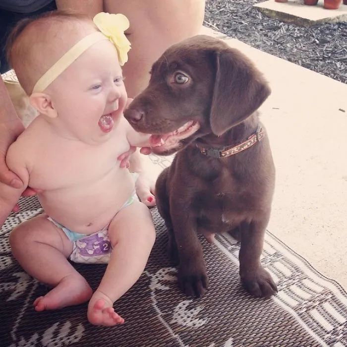 My Best Friends Baby Met Her First Puppy