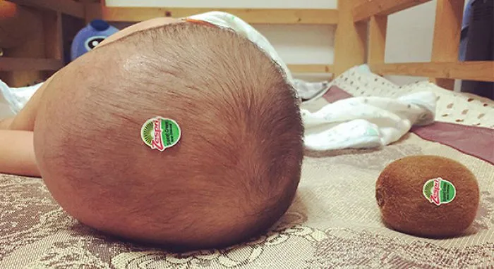 Two Kiwis
