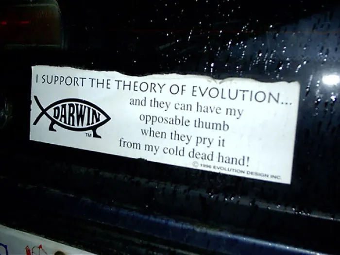 Theory Of Evolution