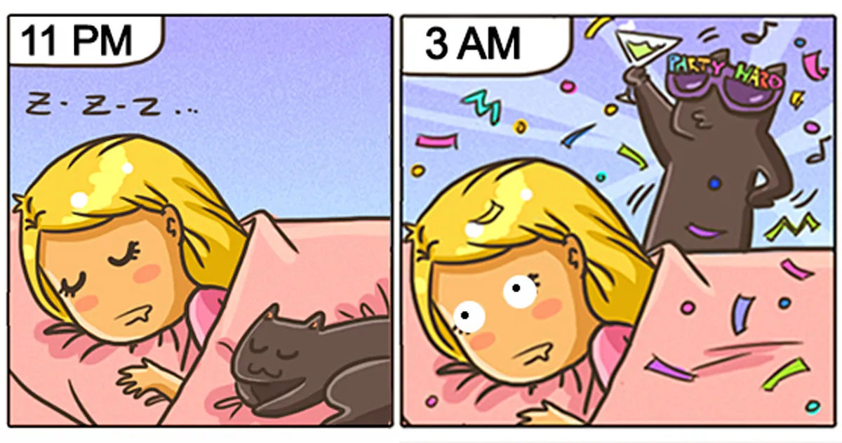 15 Cómics que captan perfectamente la vida con un gato