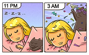 101 Comics That Purrfectly Capture Life With Cats