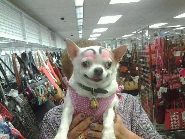 I Like to Believe She is Pleasantly Surprised