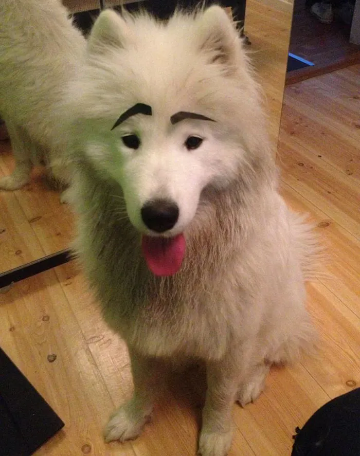 Why Hello There