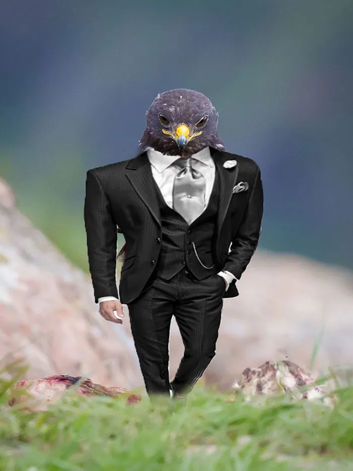 Looking Sharp