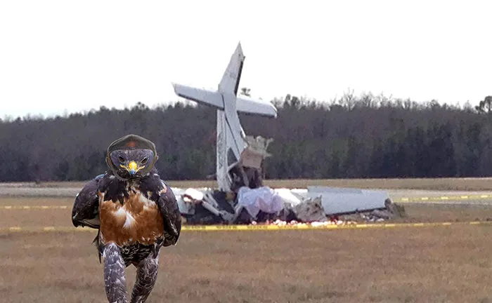 Oops...