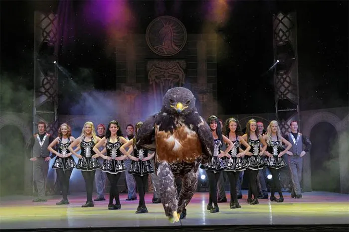 Bird Of The Dance