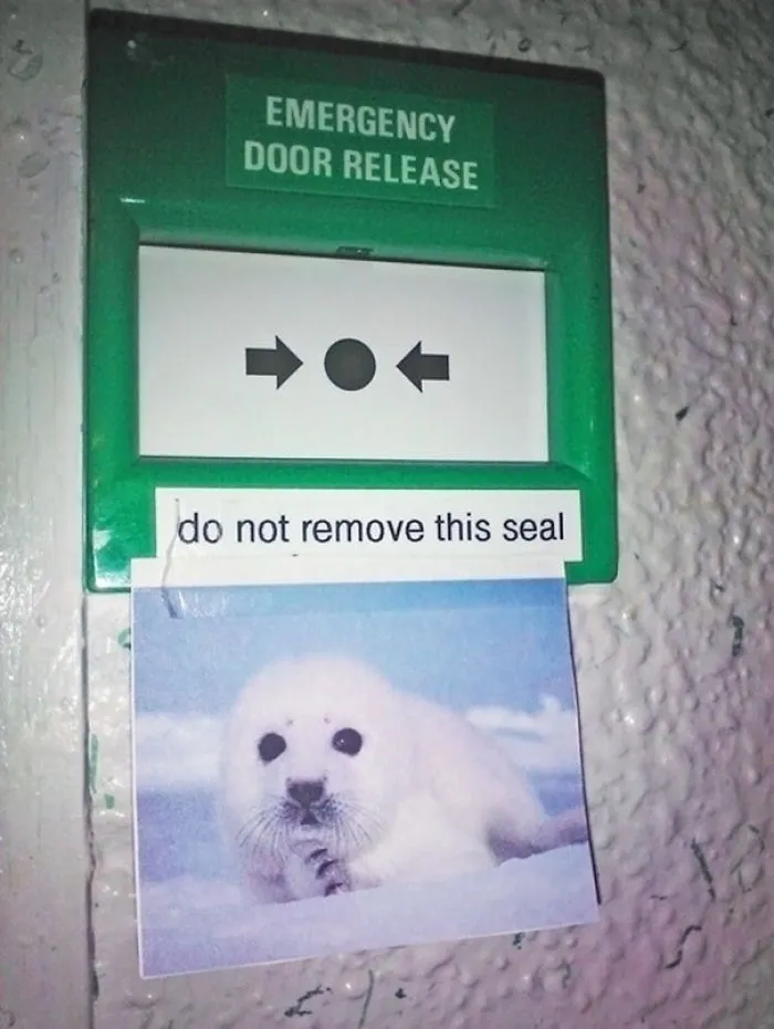 Do Not Remove This Seal