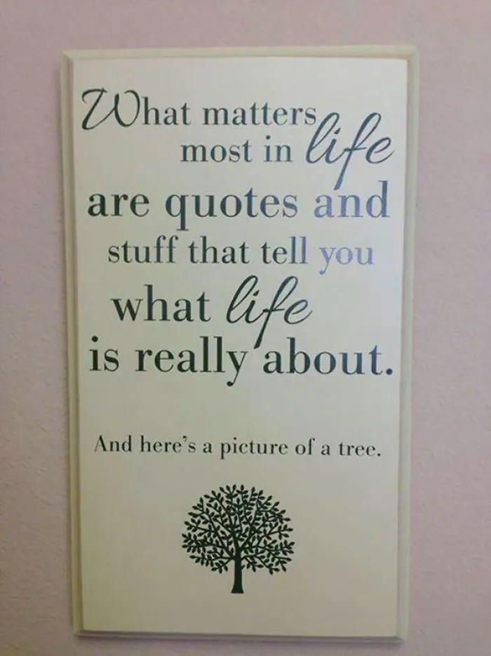Sarcastic Wall Photo