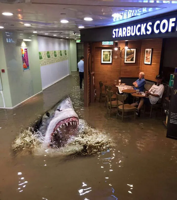 Shark Attack