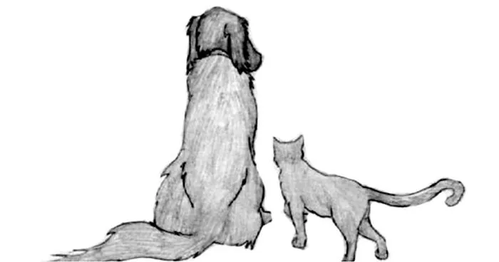 This 'Goodbye Letter to My Human' Will Make You Cry