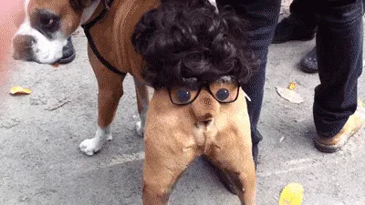 Butt-Face