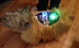 89 Terrifyingly Pawsome Halloween Costumes For Dogs
