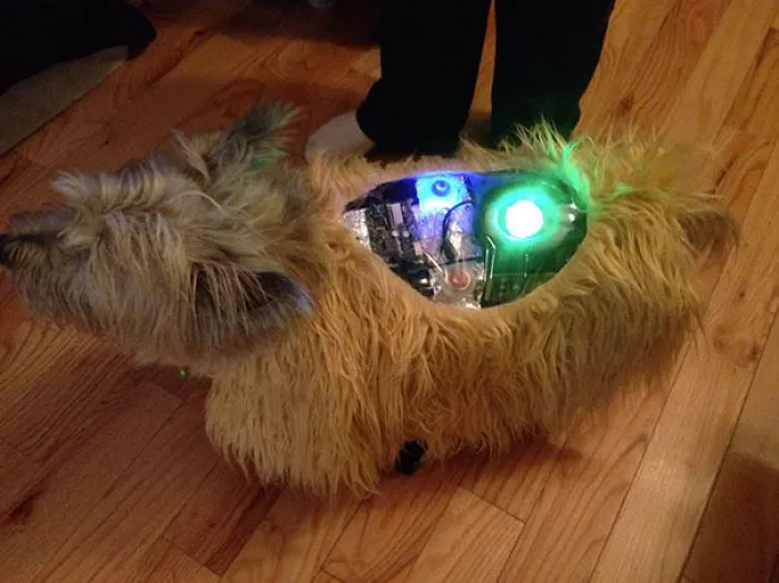 Robo-dog