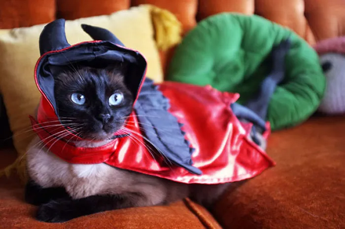 Little Beelze-babz
