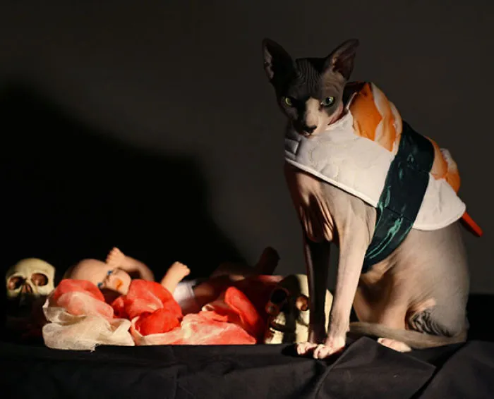 Toxic Sushi Hugo