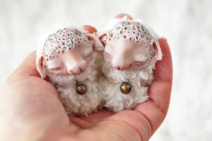 I Create Super Cute And Creepy Dolls