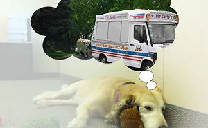 More Of "I Wonder What Our Office Mascot Is Dreaming"