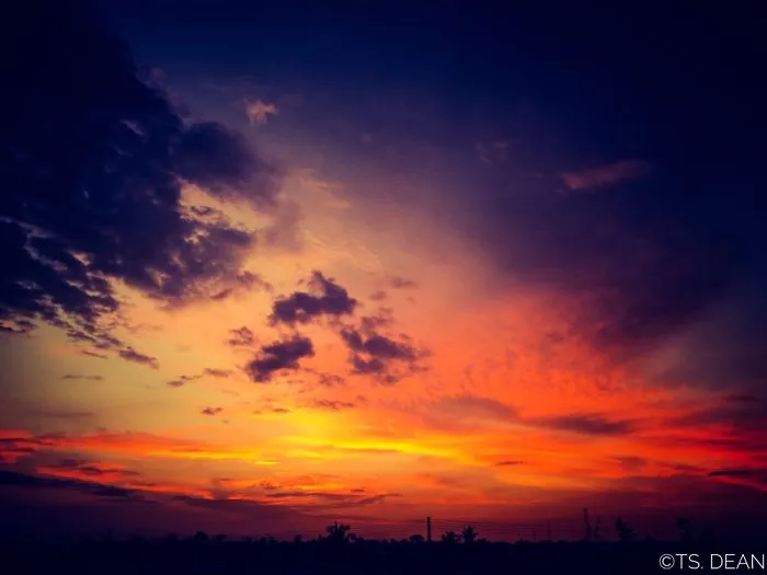 Live In The Sky