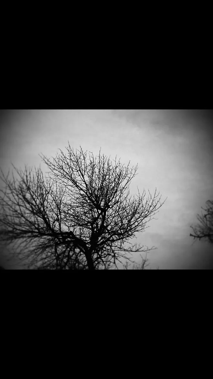 Tree Life