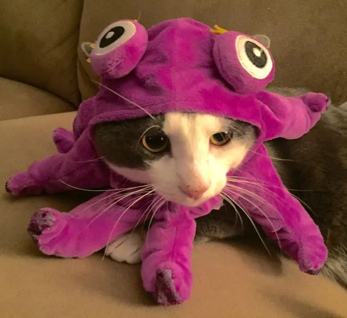 🐙
