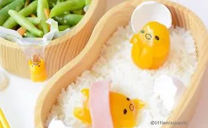 Cute Rice Food