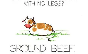 Funny Random Puns ?!?!