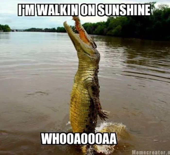 This Will Make Your Day!