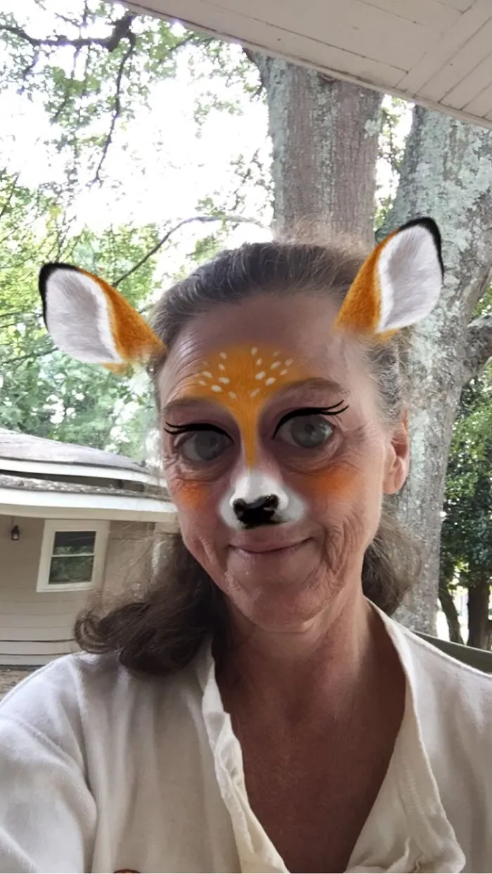 I Am A Fox
