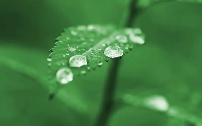The Beauty Of Water