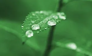 The Beauty Of Water