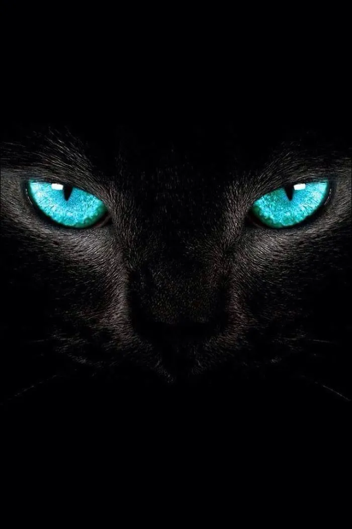 The Eyes Have It!
