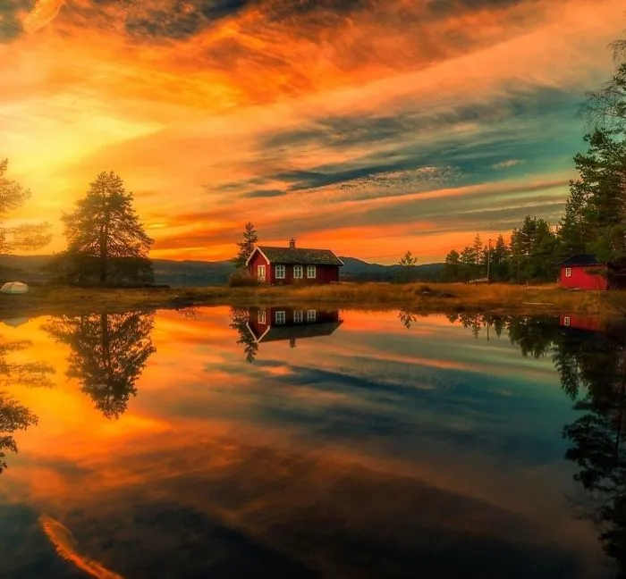 Stunning Photos
