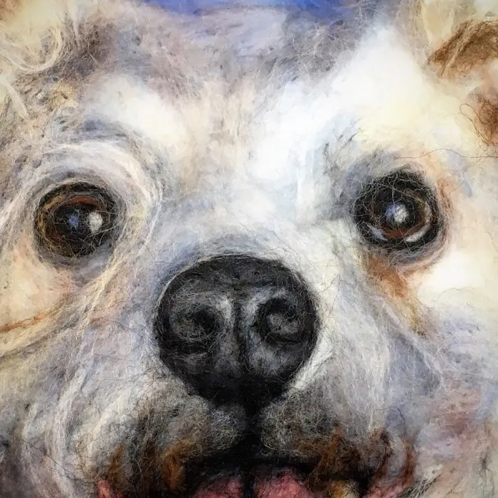 Pet Portraits Painted With Wool!