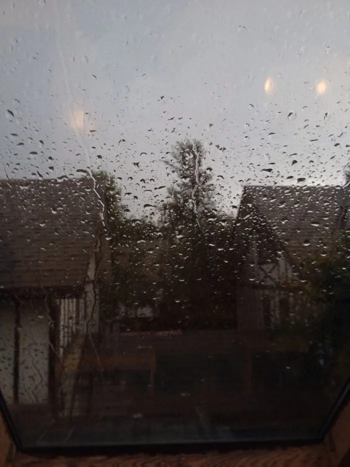 Rain