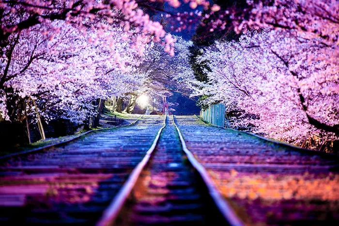 Top 147 Japan Street Photography Shots That Capture The Rarely Seen Side Of The Land Of The Rising Sun