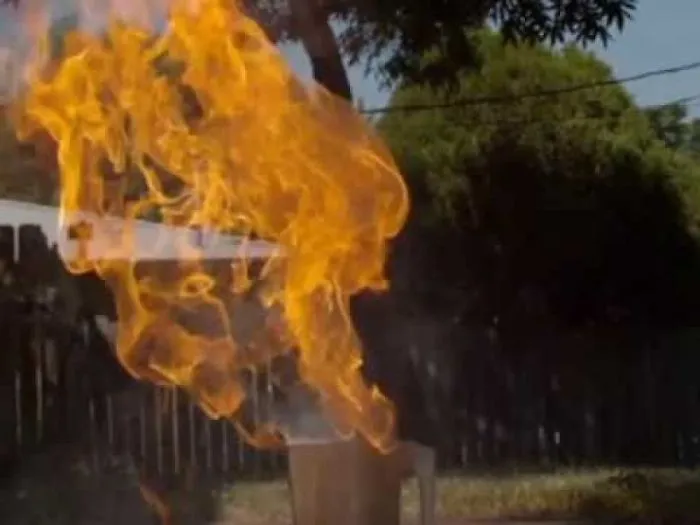 Best Slow Motion Videos