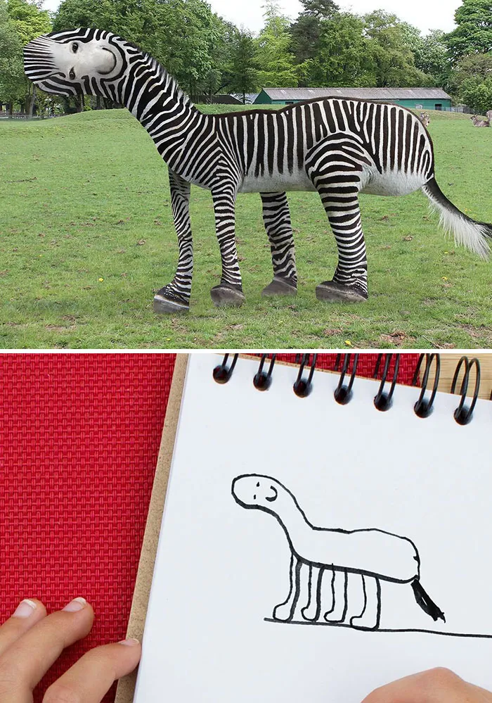 Zebra