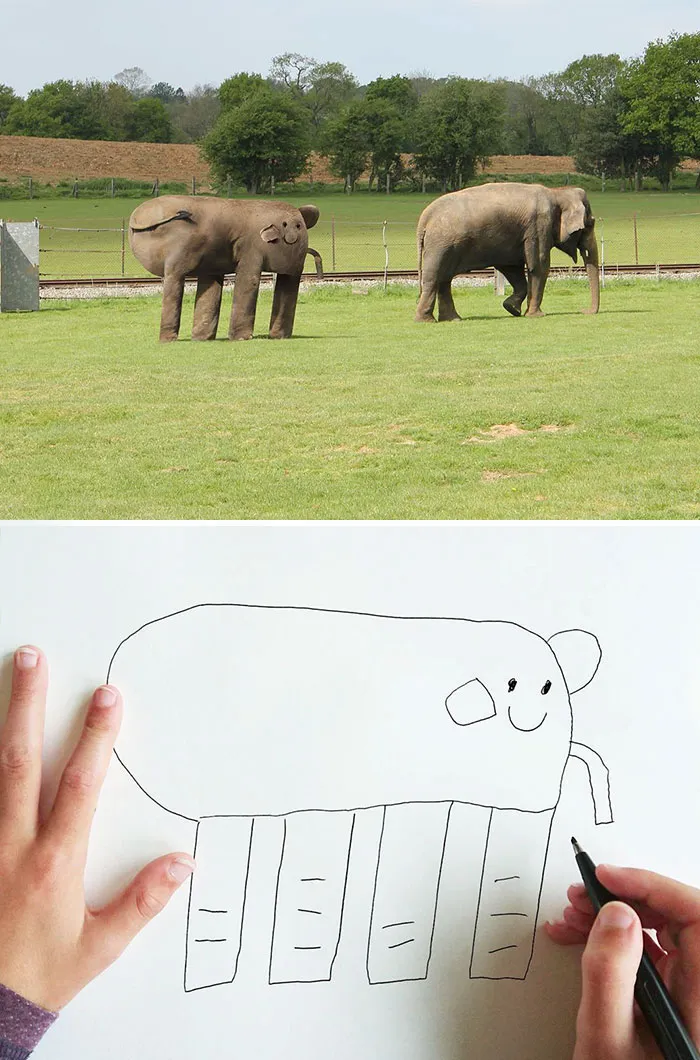 Elephant
