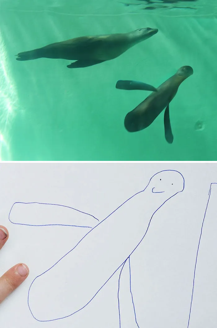 Sea Lion 