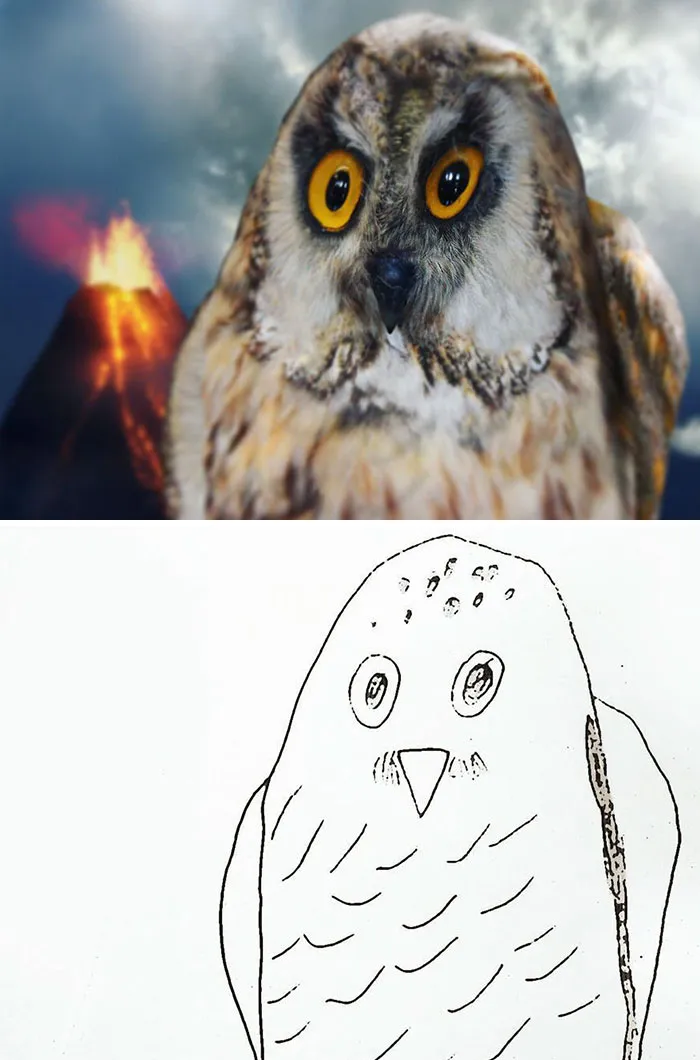 Owl