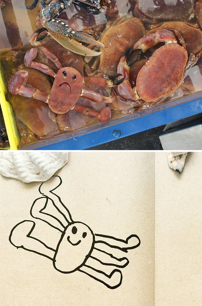 Crab