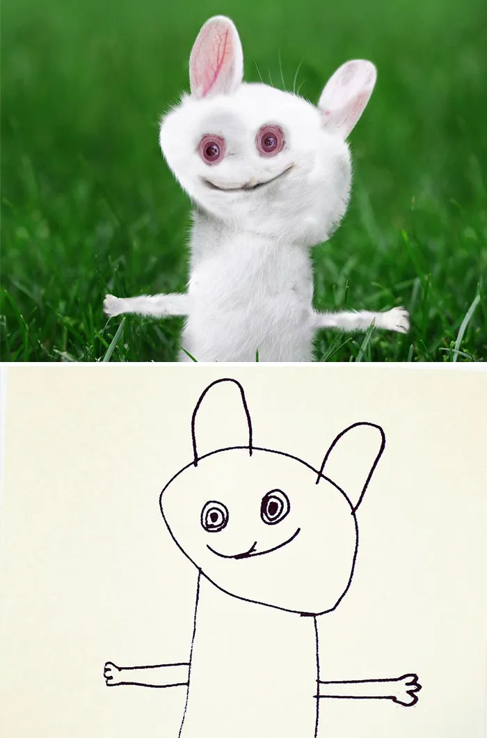 Bunny