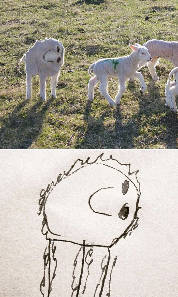 Lamb