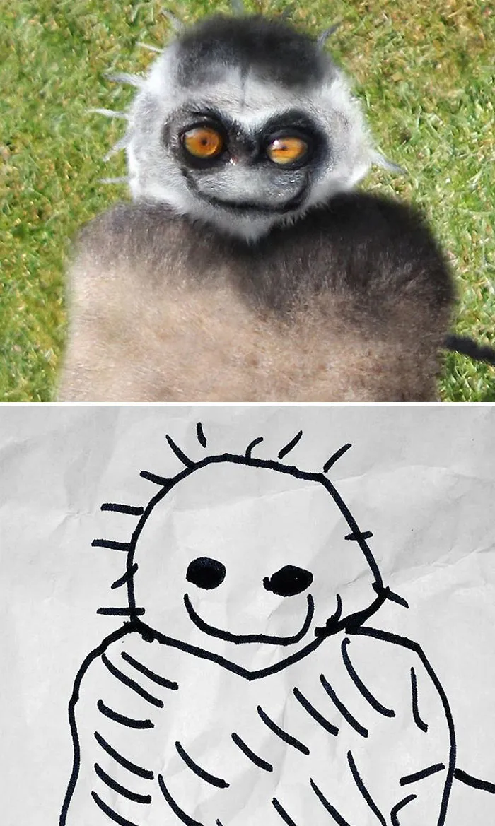 Fuzzy Animal