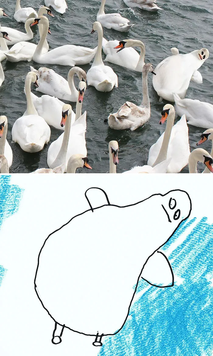 Swan