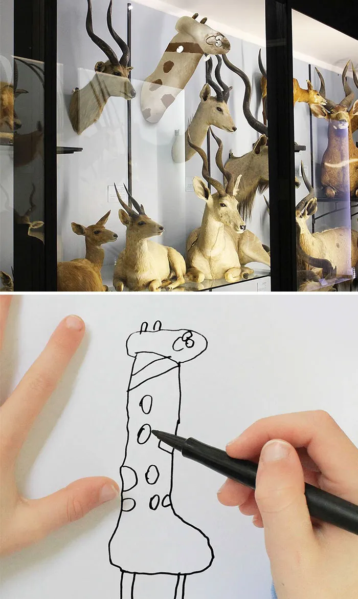 Giraffe Taxidermy